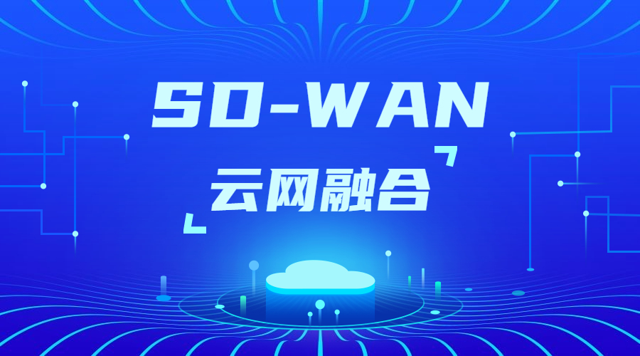 SD-WAN组网支持的方式