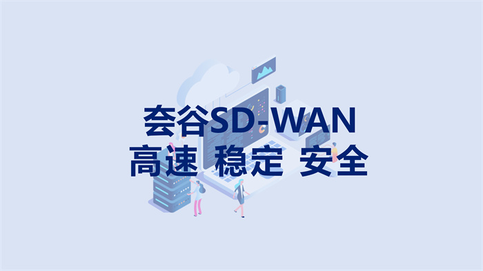 跨境电商网络专线多少钱一年