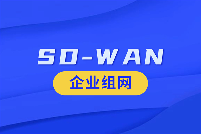 sdwan组网方案