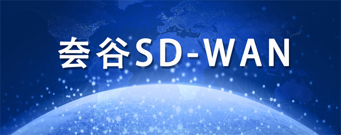 国内sdwan品牌
