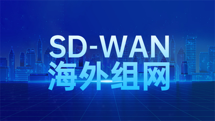 跨境sdwan组网