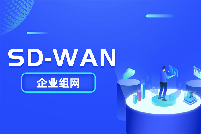 海外sdwan组网适用于哪些企业
