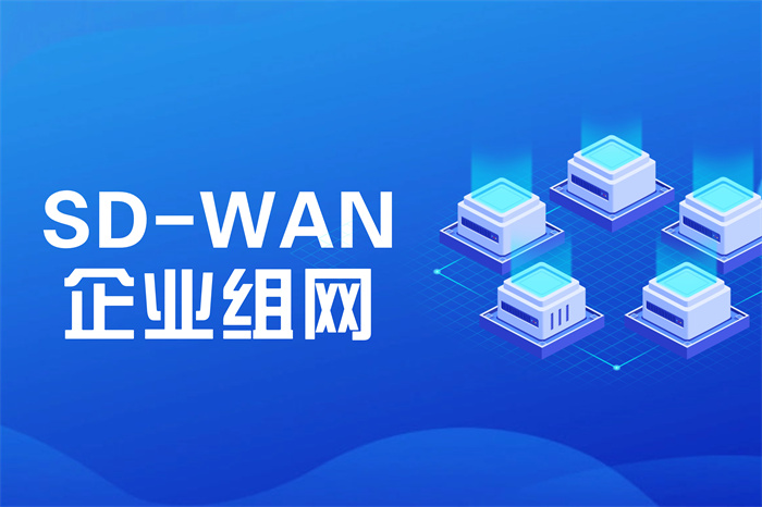 sd-wan组网方案有哪几种