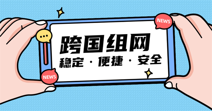 跨国集团组网方案现状