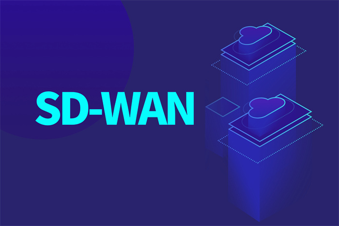 SDWAN远程组网方案