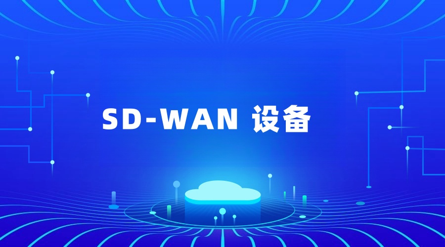 sdwan组网用到哪些设备