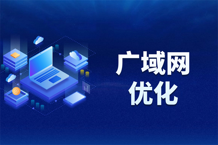 广域网的组网方式是什么