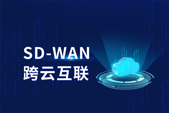 如何选择合适的sd-wan供应商？