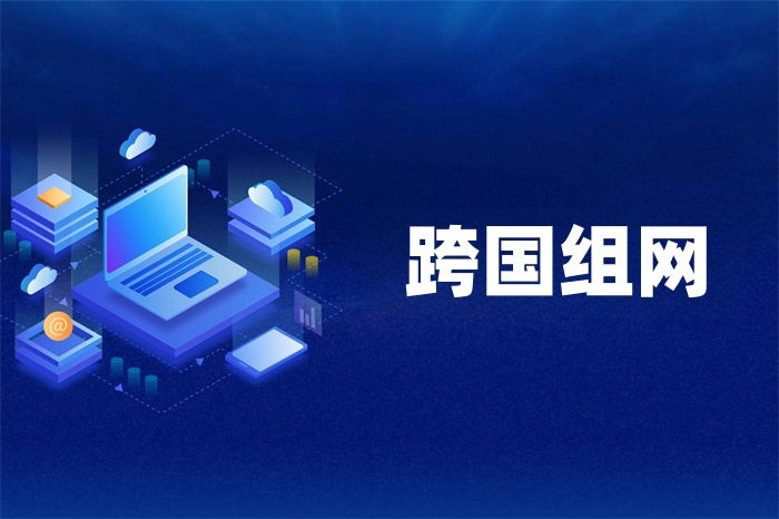 跨国公司SD-WAN组网方案