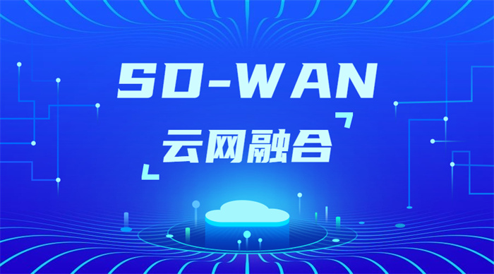 sdwan怎么搭建