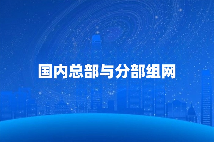 国内企业总部如何与分部怎么组网