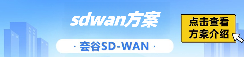 sdwan找运营商还是第三方？