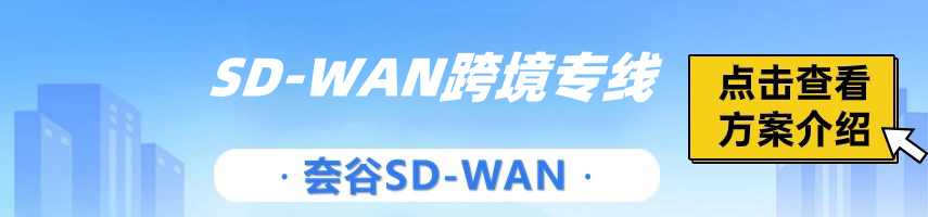 sdwan接入使用专线吗