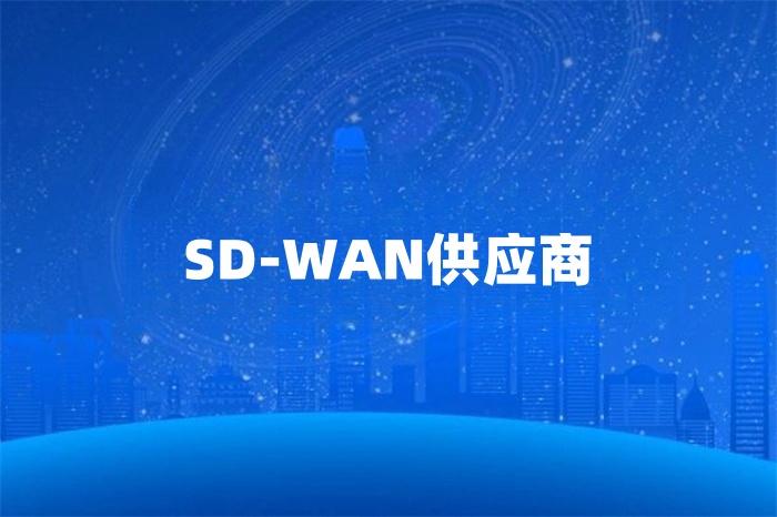 sd-wan供应商