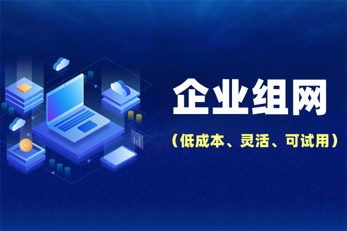 分公司怎么接入总部网络