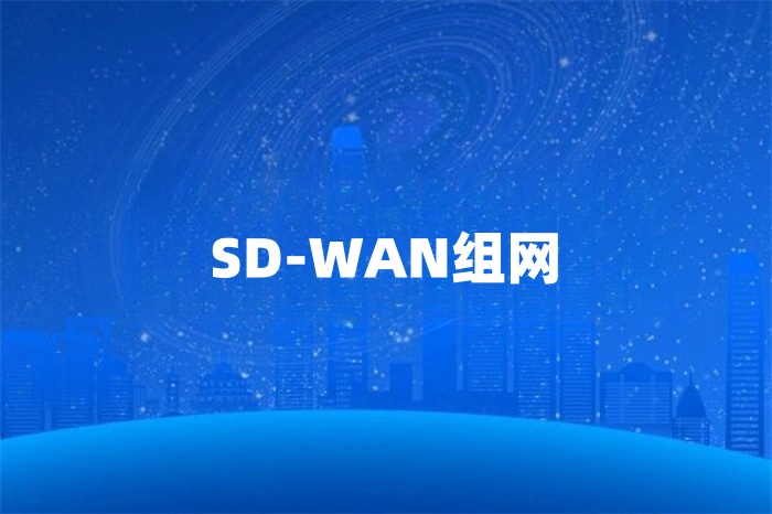 如何通过sd-wan网络进行组网