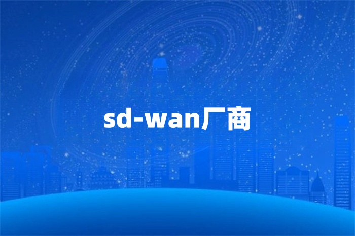 提供sd-wan的商家