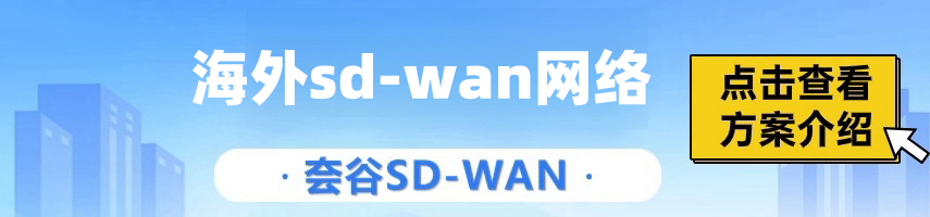 泰国分支怎么跟国内总部实现跨国组网