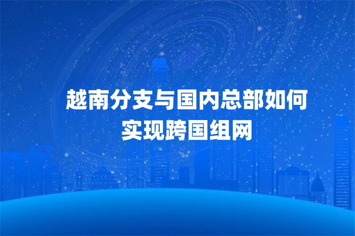 越南分支与国内总部如何实现跨国组网