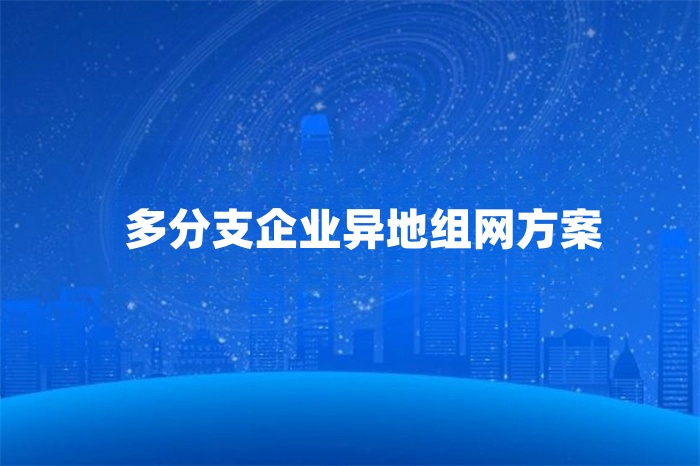 多分支企业异地组网方案