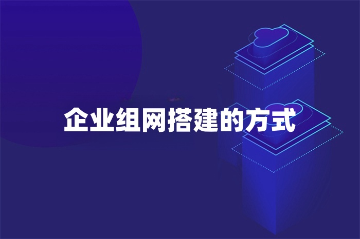 企业组网搭建的方式