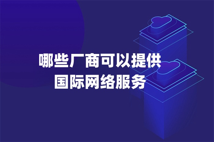 哪些厂商可以提供国际网络服务