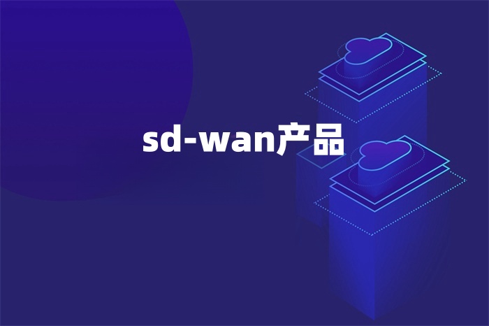 sd-wan的产品包括哪些
