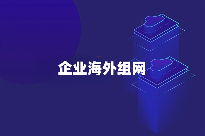 企业海外组网