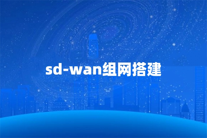 sd-wan组网搭建