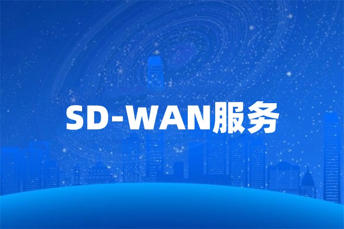 SD-WAN服务