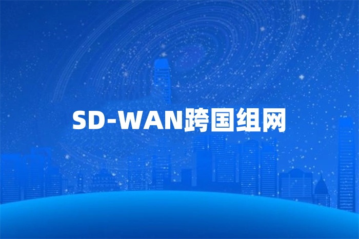 SD-WAN跨国组网