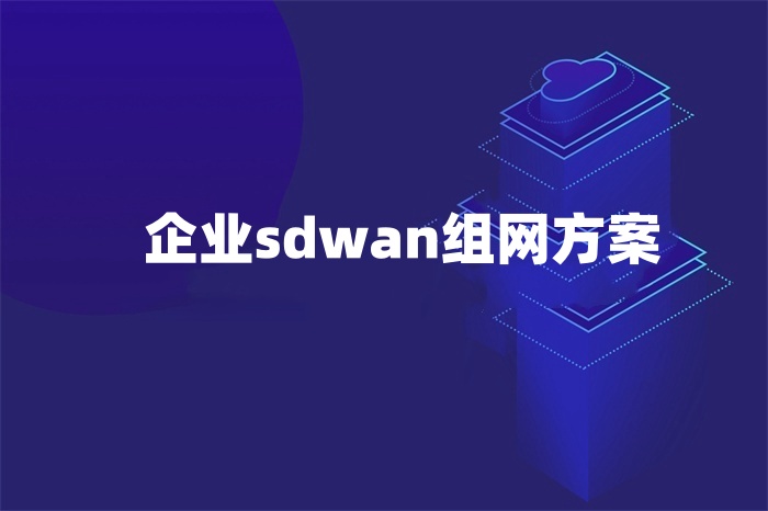 企业sdwan组网方案