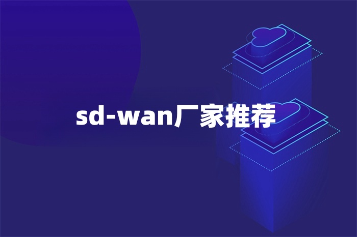 sd-wan厂家推荐
