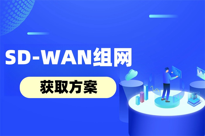 SD-WAN组网的搭建方案
