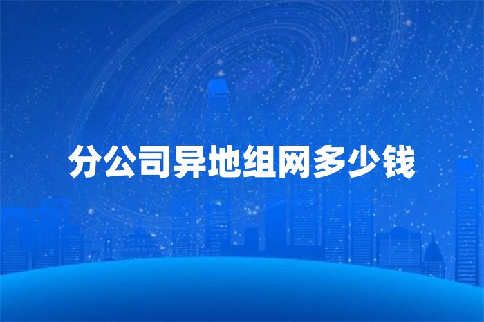 分公司异地组网多少钱