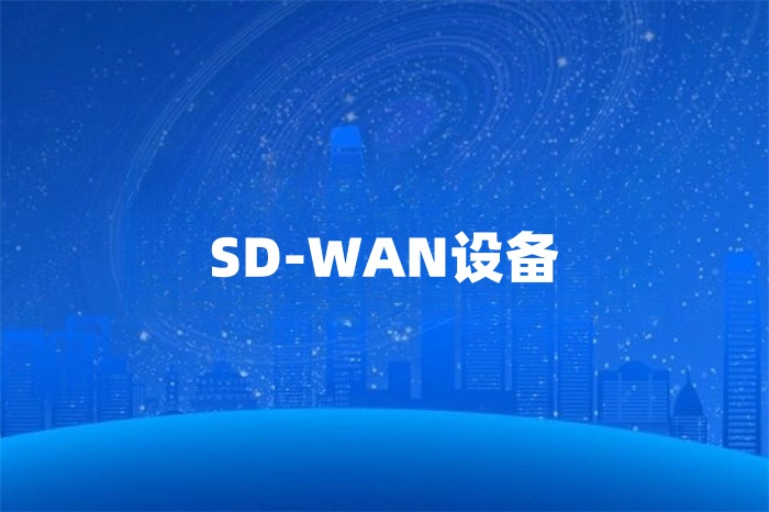 SD-WAN设备