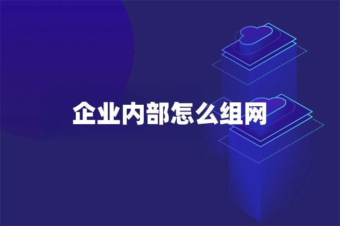 企业内部怎么组网