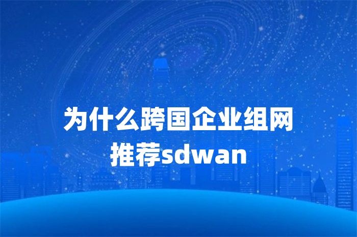 为什么跨国企业组网推荐sdwan
