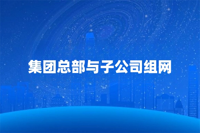 集团总部与子公司组网