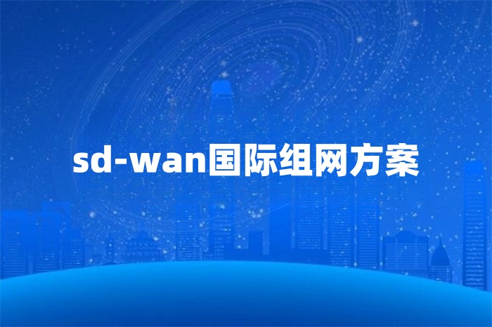 sd-wan国际组网方案