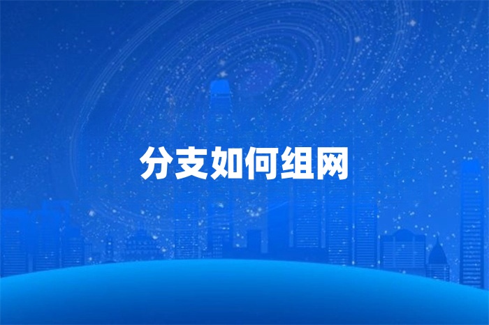 分支如何组网