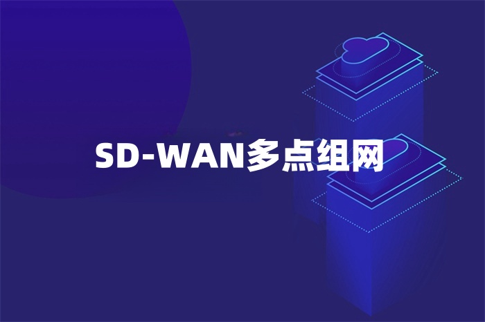 SD-WAN多点组网