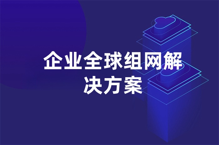 企业全球组网解决方案
