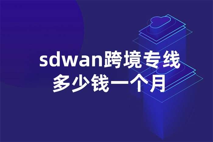 sdwan跨境专线多少钱一个月