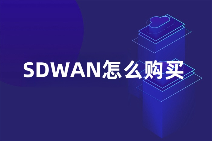 SDWAN购买