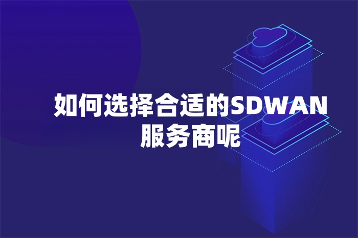 如何选择合适的SD-WAN服务商呢