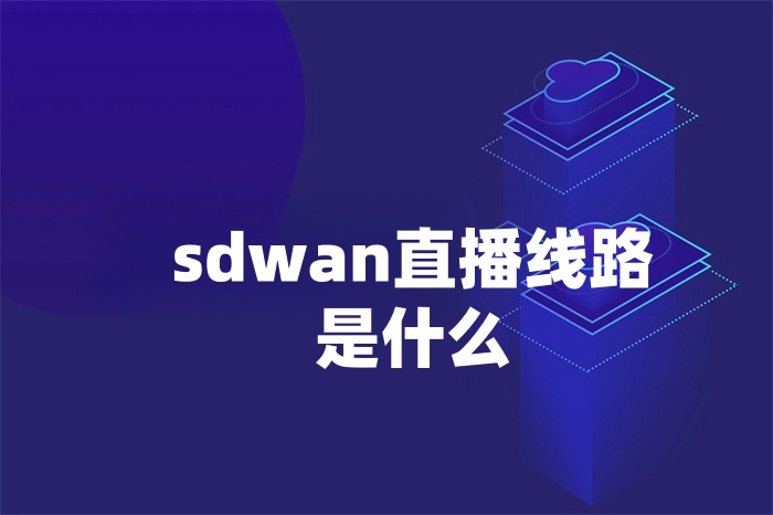 sdwan直播线路是什么