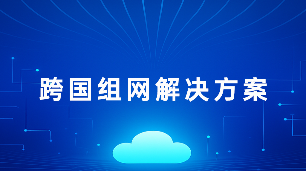 跨国组网解决方案.png