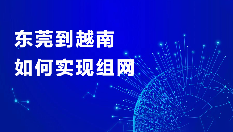 1756268641863492.png 东莞到越南如何实现组网.png